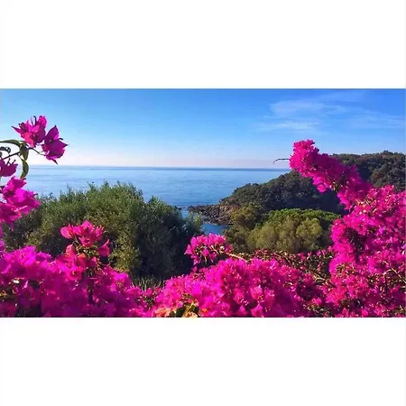Maison 6pers Vue Mer&plage Privée Du Domaine Solenzara Hébergement de vacances